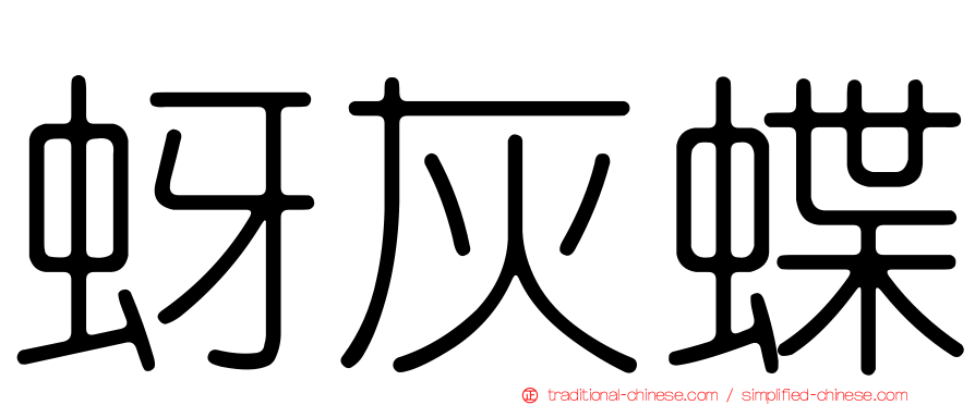 蚜灰蝶