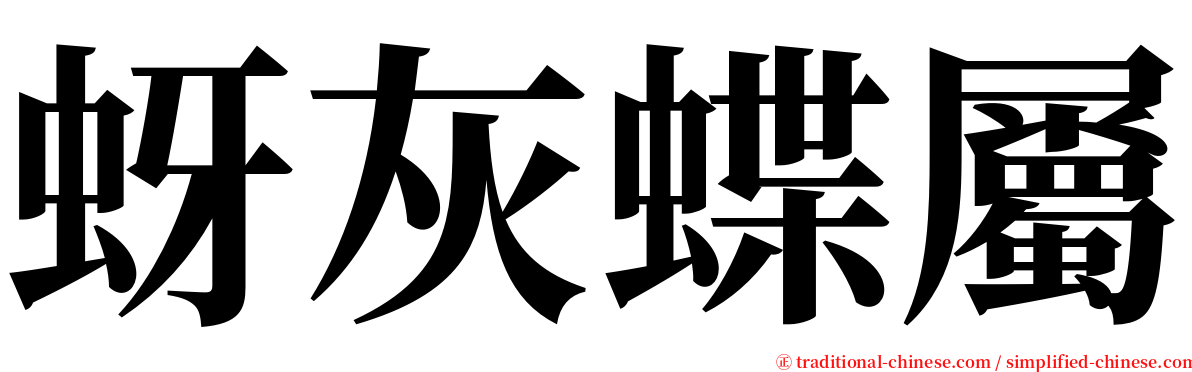 蚜灰蝶屬 serif font