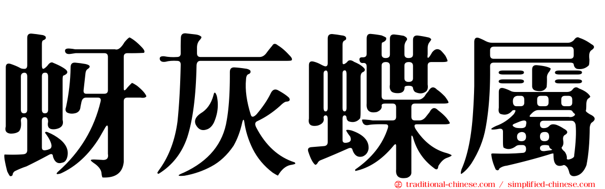 蚜灰蝶屬