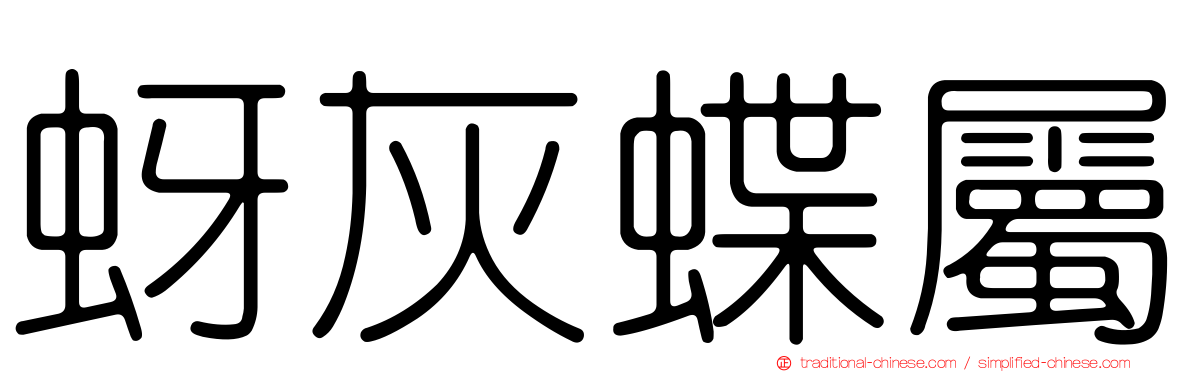 蚜灰蝶屬