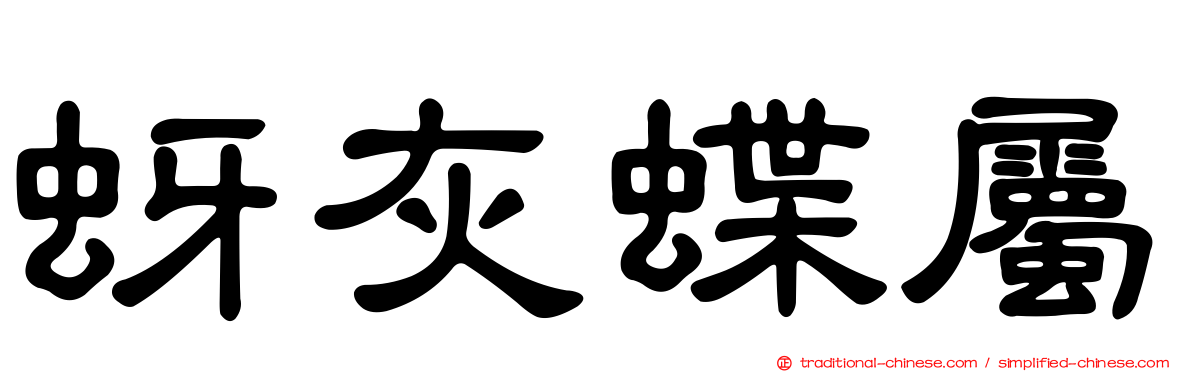 蚜灰蝶屬