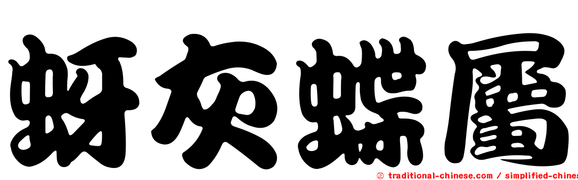 蚜灰蝶屬