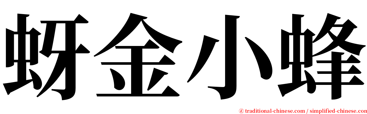 蚜金小蜂 serif font