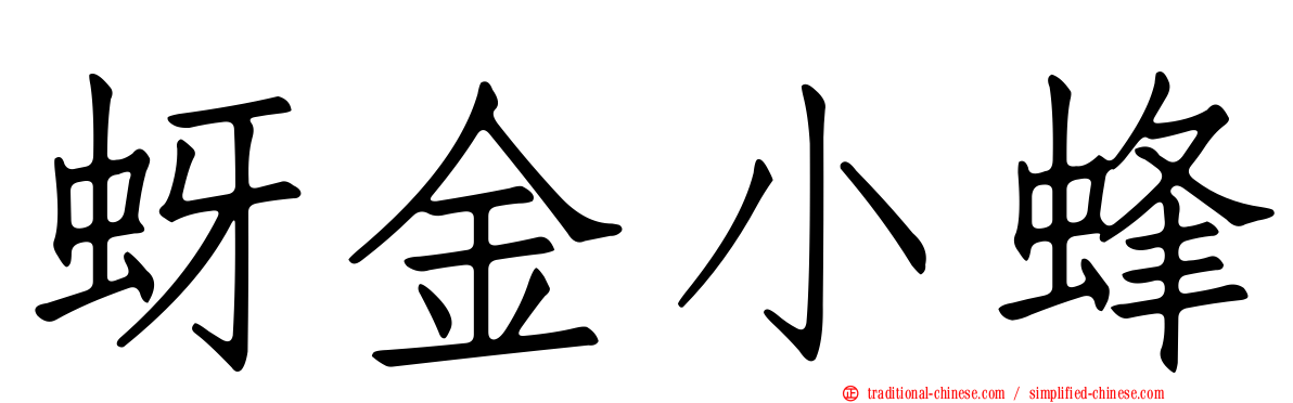 蚜金小蜂