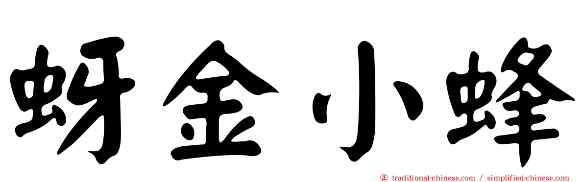 蚜金小蜂