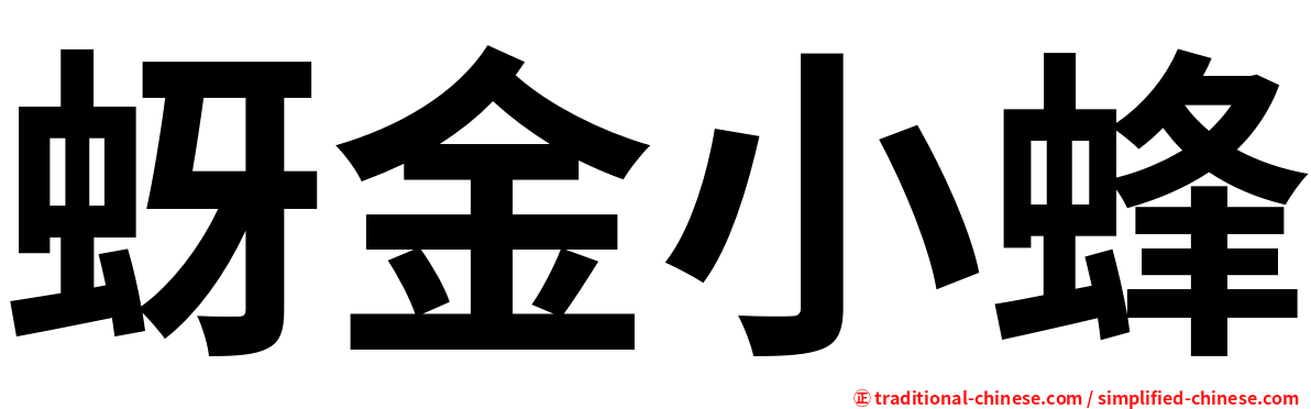 蚜金小蜂