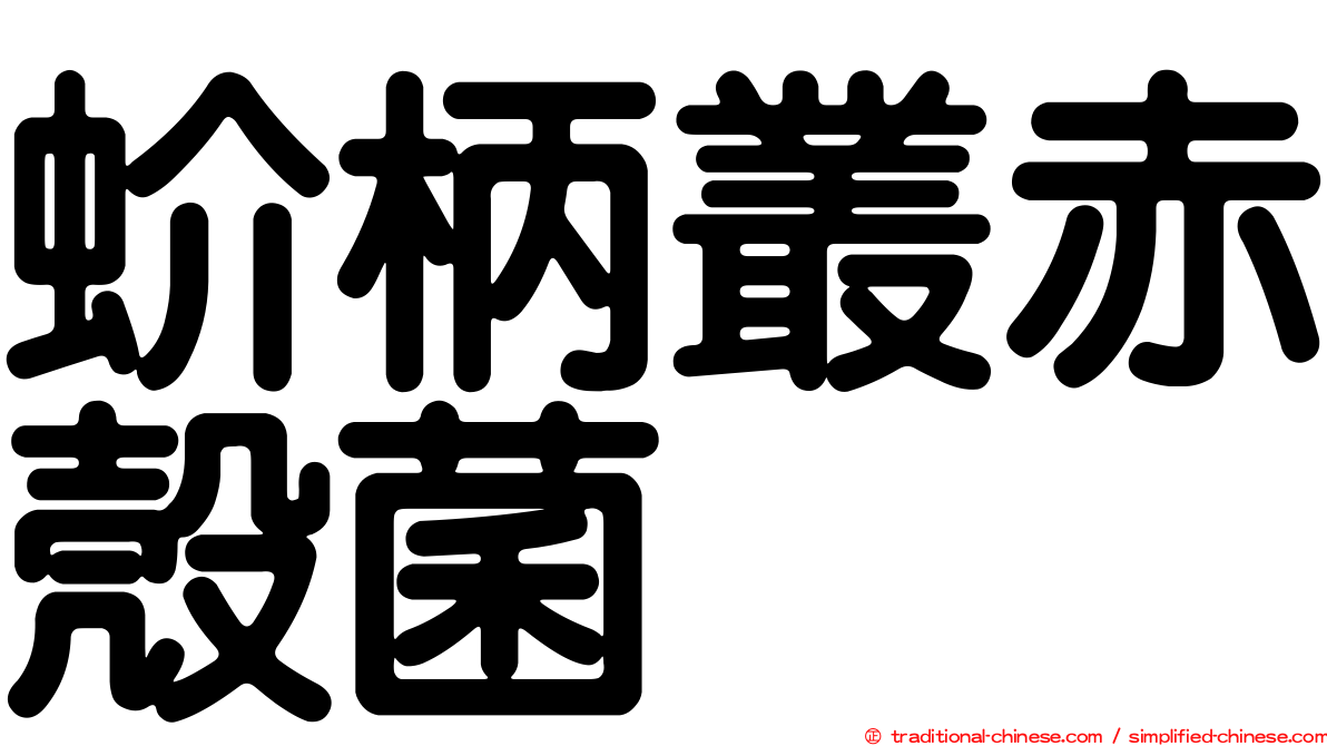 蚧柄叢赤殼菌