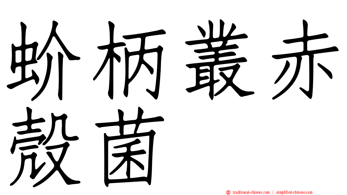 蚧柄叢赤殼菌
