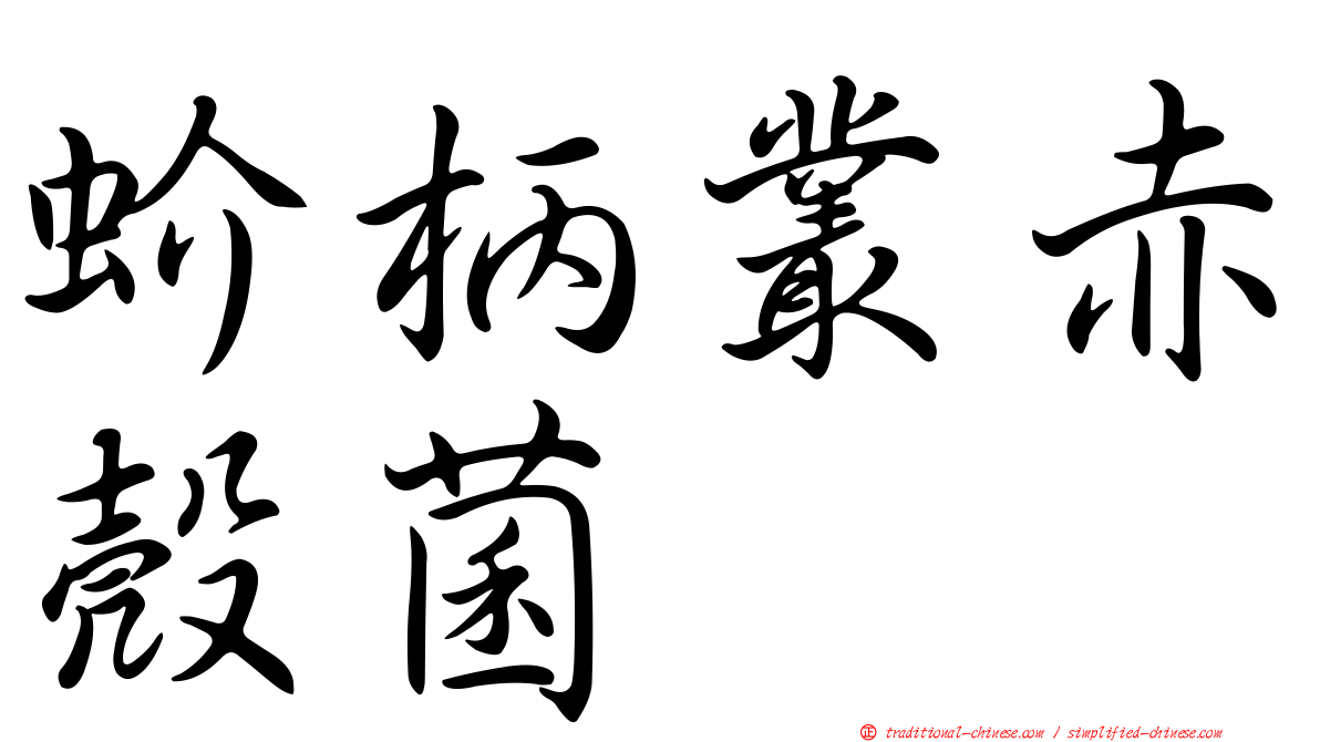 蚧柄叢赤殼菌