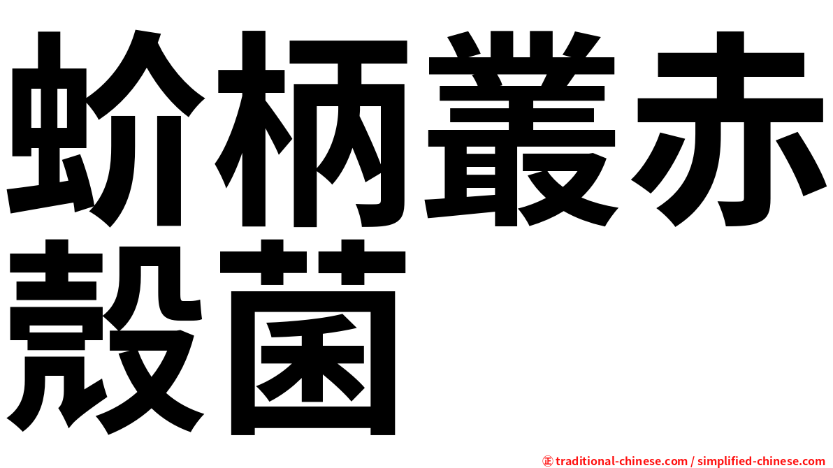 蚧柄叢赤殼菌