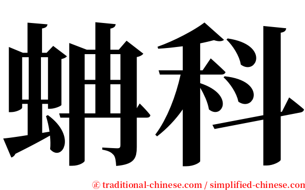 蚺科 serif font