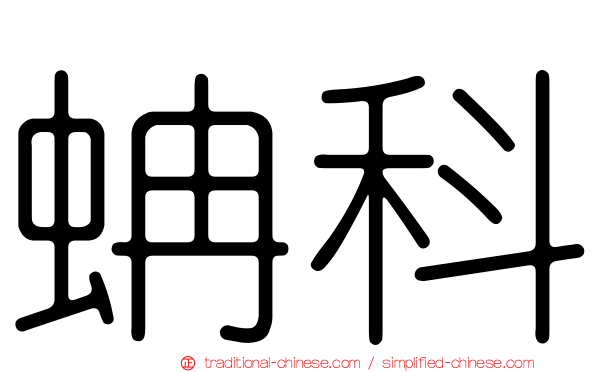 蚺科