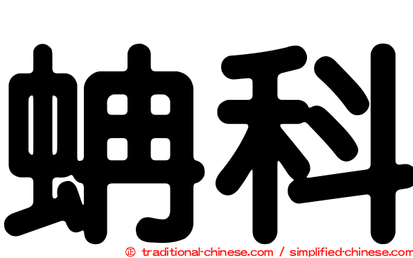 蚺科