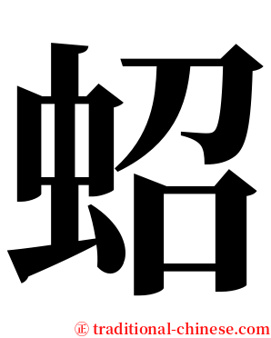 蛁 serif font