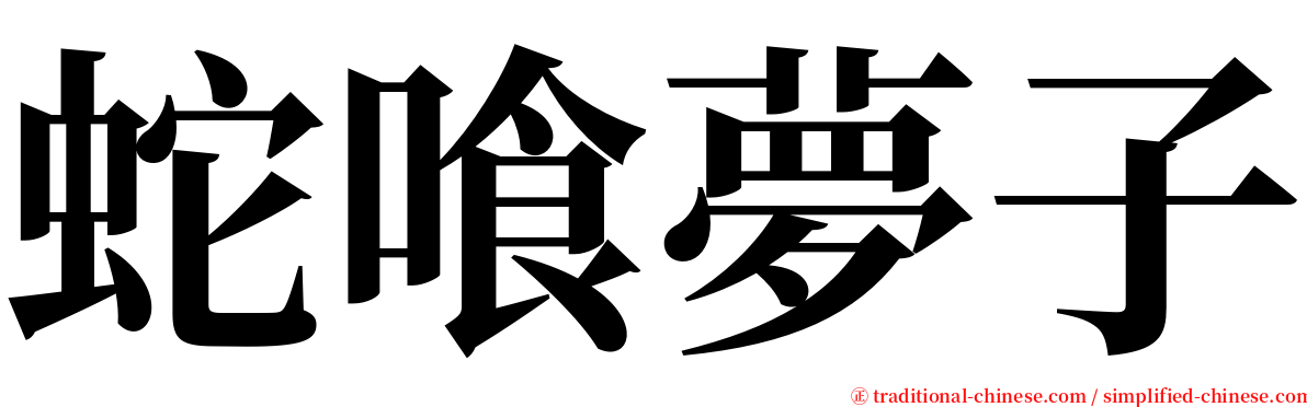 蛇喰夢子 serif font
