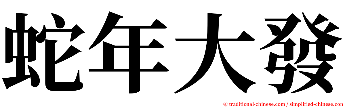 蛇年大發 serif font