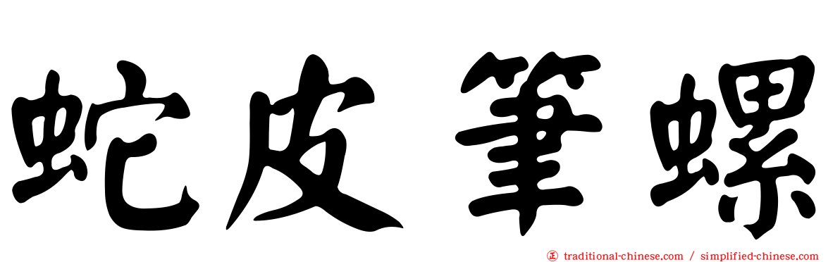 蛇皮筆螺