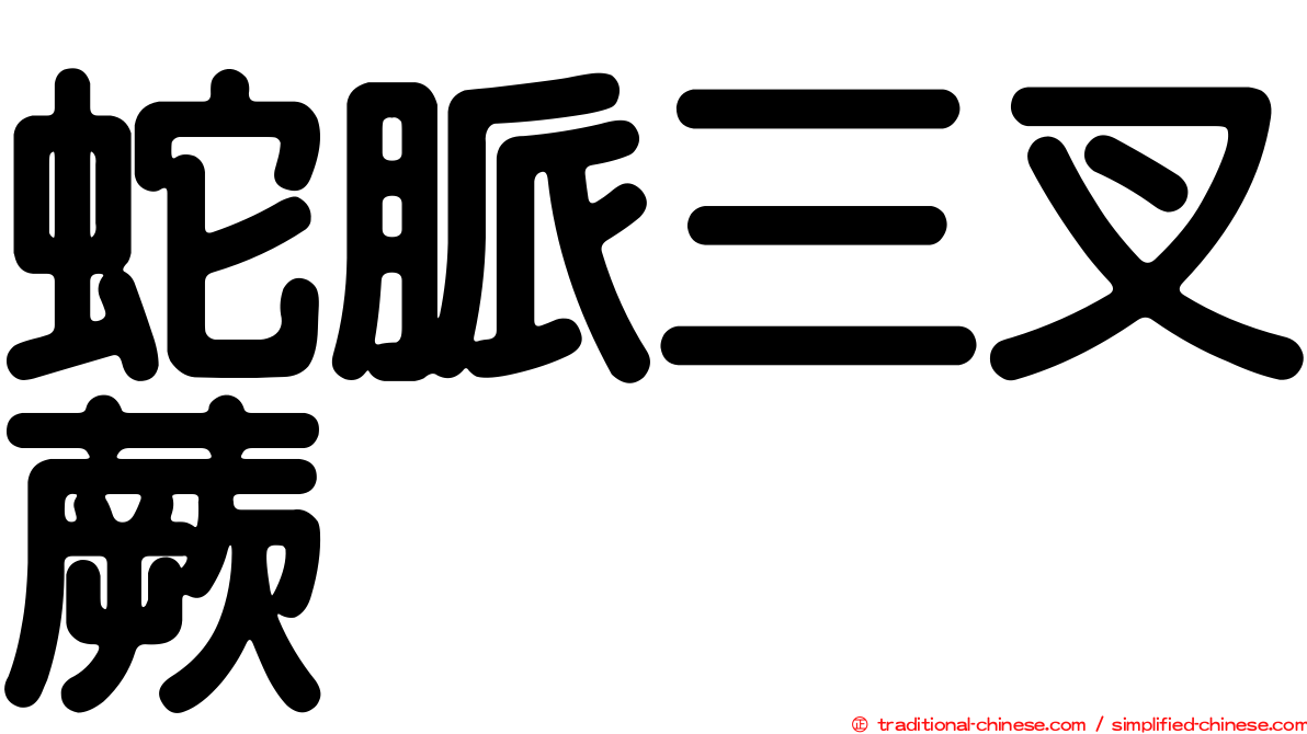 蛇脈三叉蕨