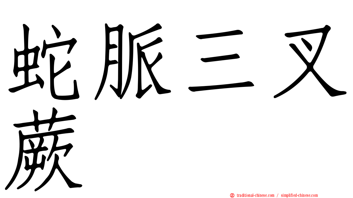 蛇脈三叉蕨