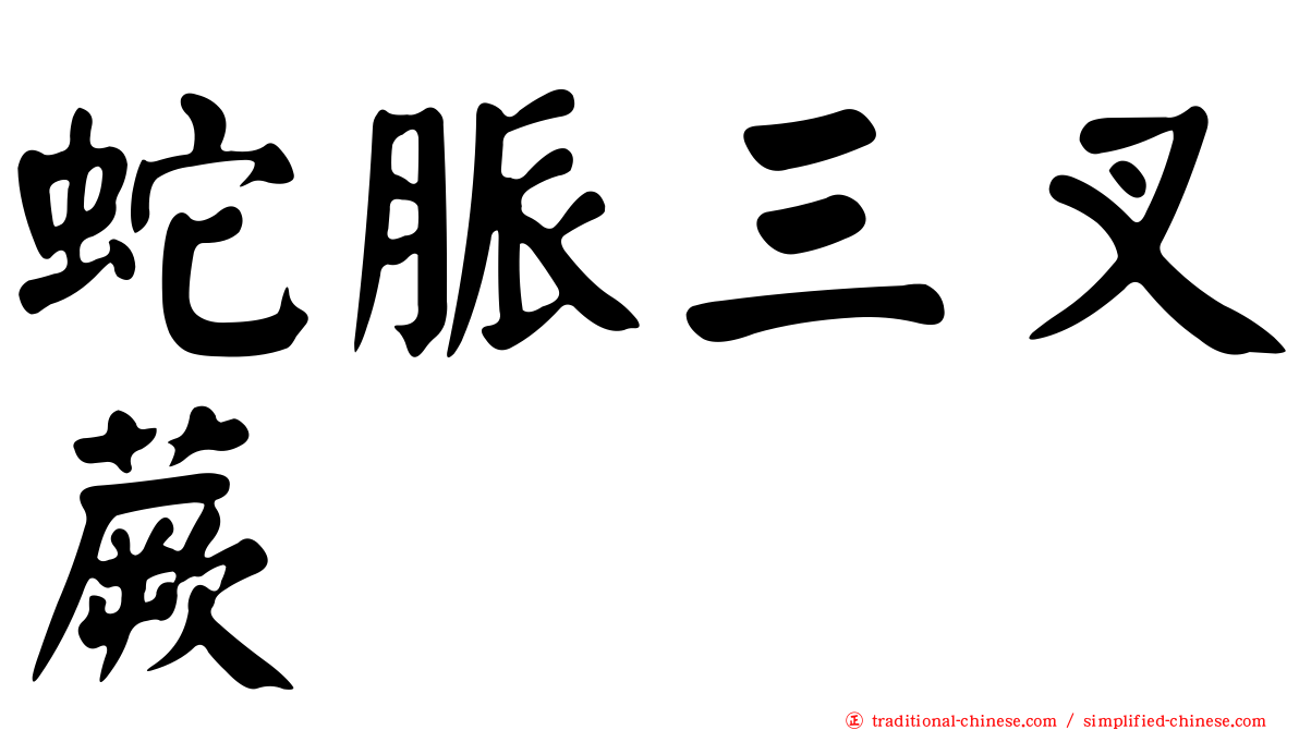 蛇脈三叉蕨