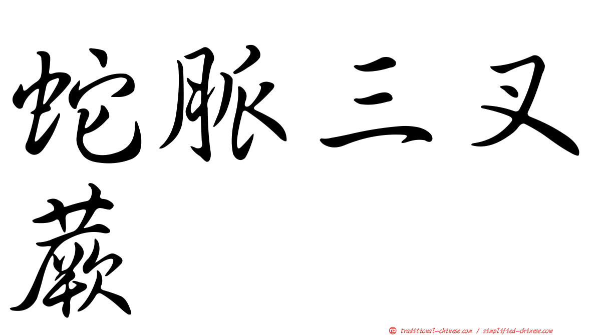 蛇脈三叉蕨