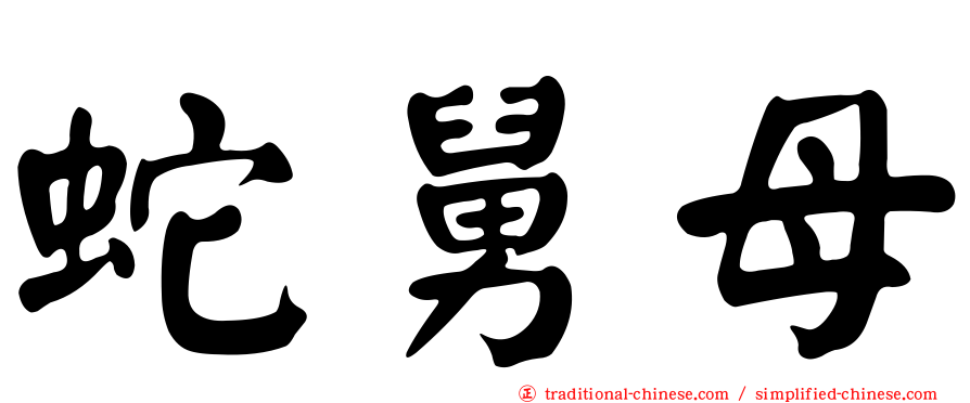 蛇舅母
