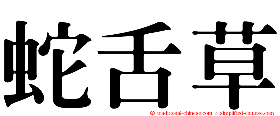 蛇舌草