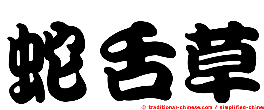蛇舌草