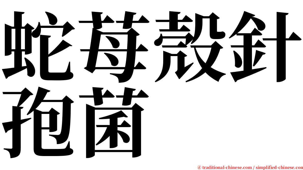 蛇苺殼針孢菌 serif font