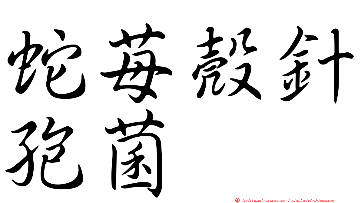 蛇苺殼針孢菌