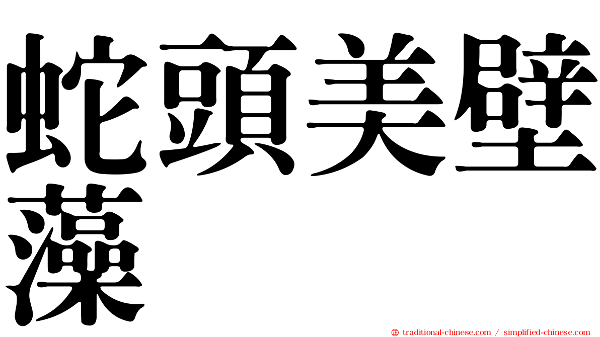 蛇頭美壁藻