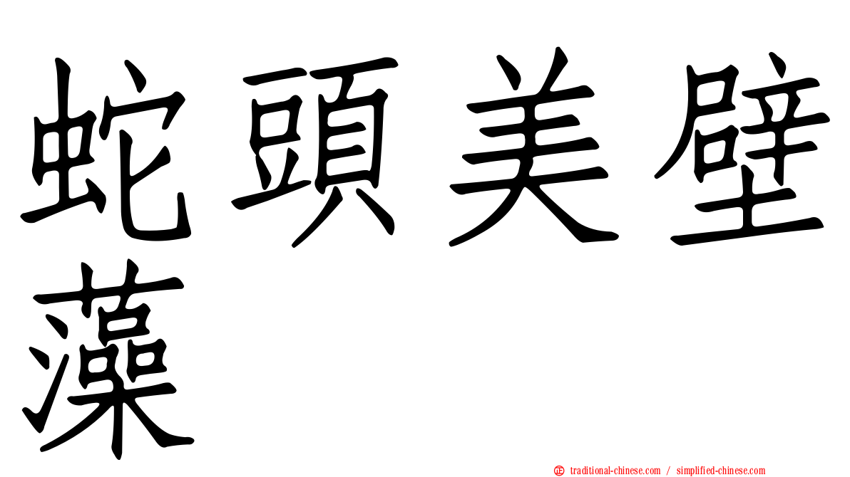 蛇頭美壁藻