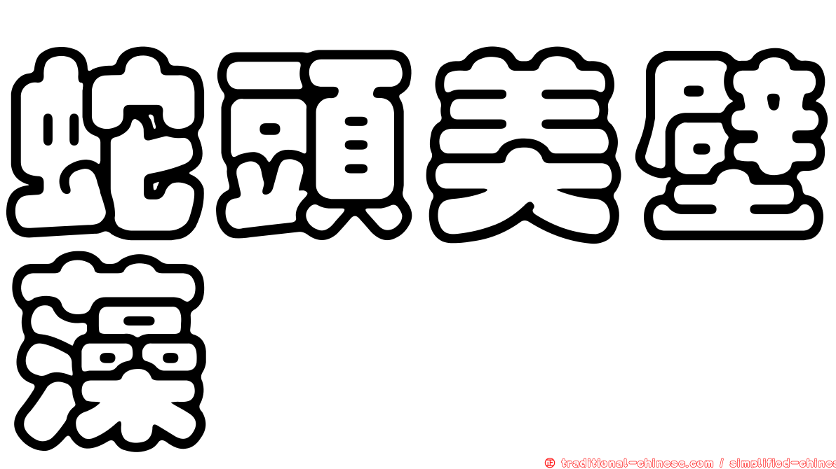 蛇頭美壁藻