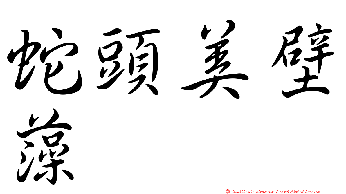 蛇頭美壁藻