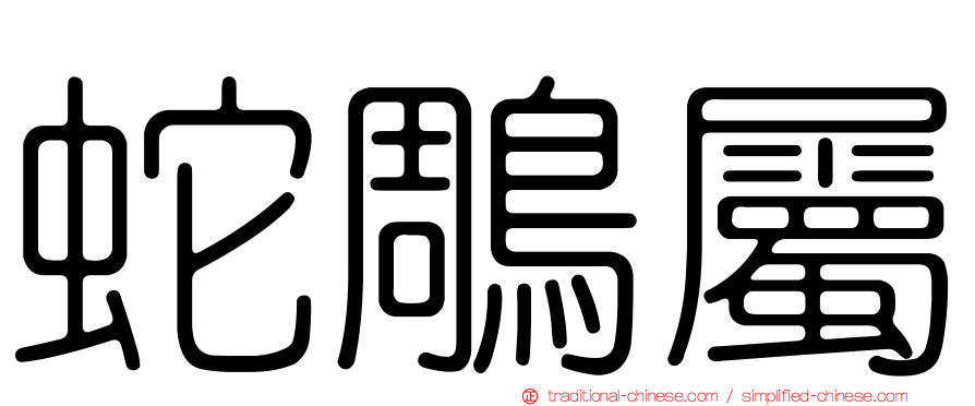 蛇鵰屬