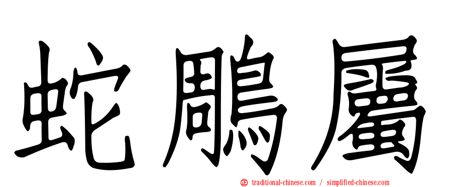 蛇鵰屬