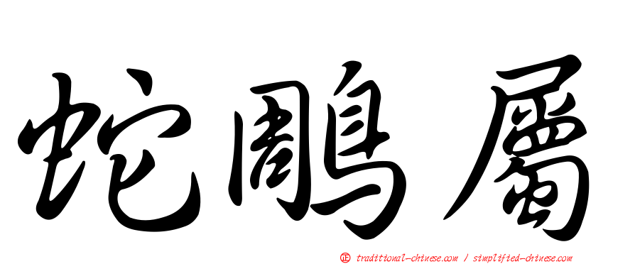蛇鵰屬