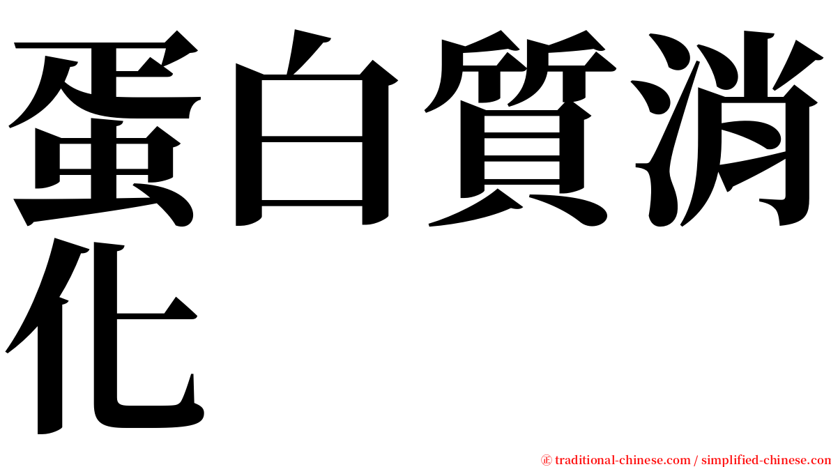 蛋白質消化 serif font