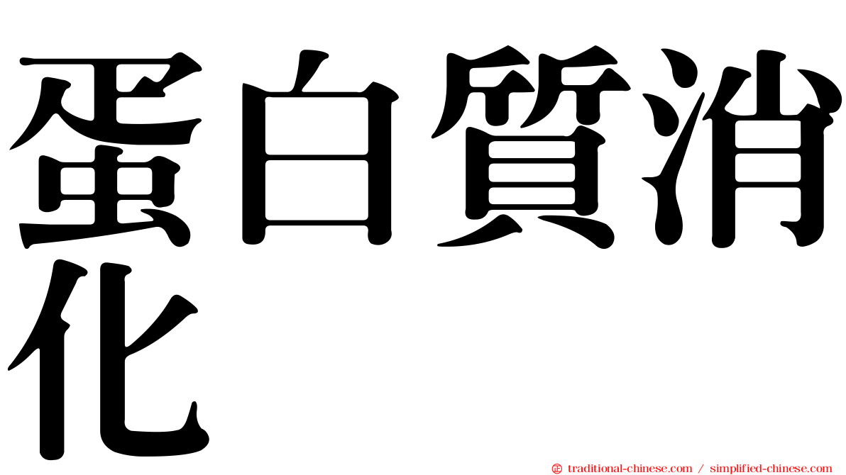 蛋白質消化