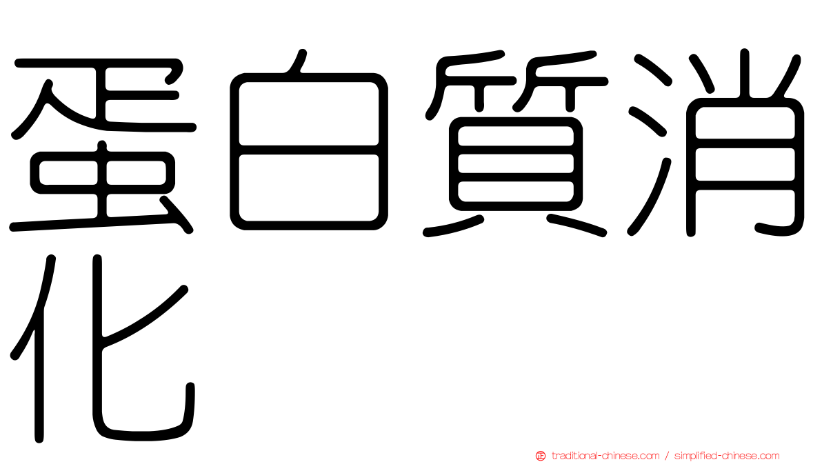 蛋白質消化