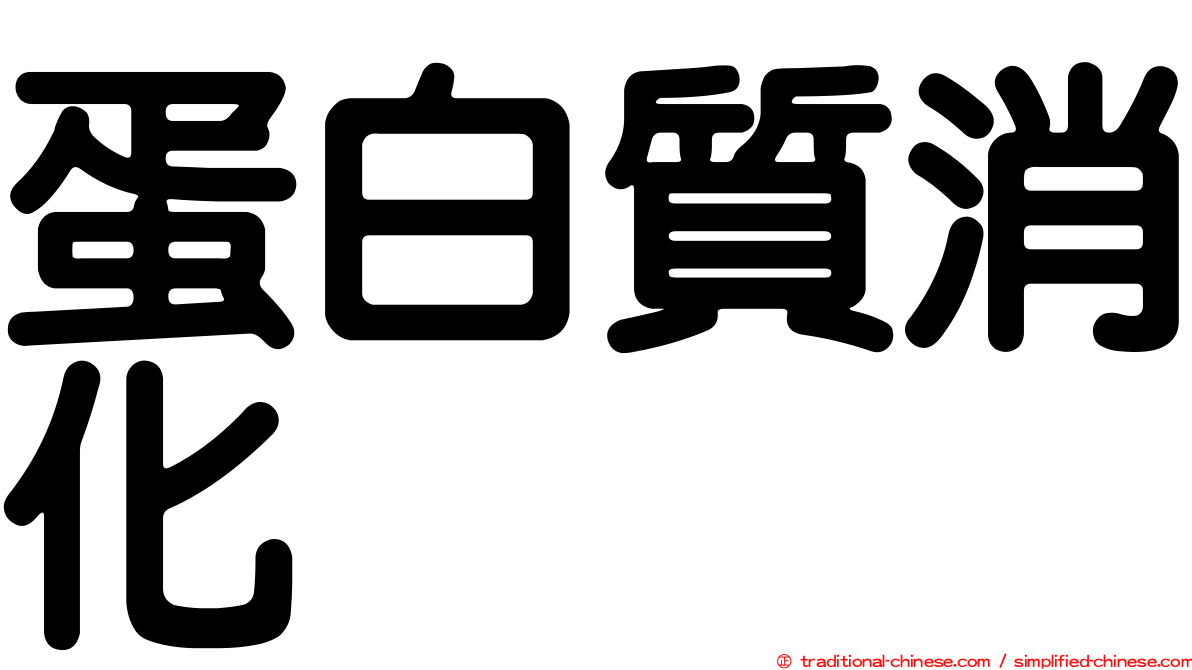 蛋白質消化