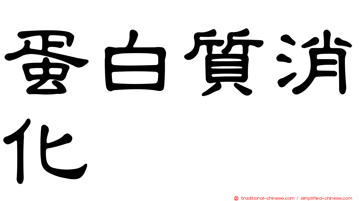 蛋白質消化