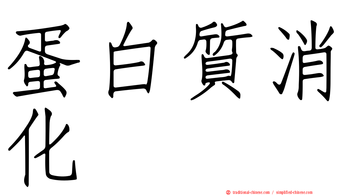 蛋白質消化