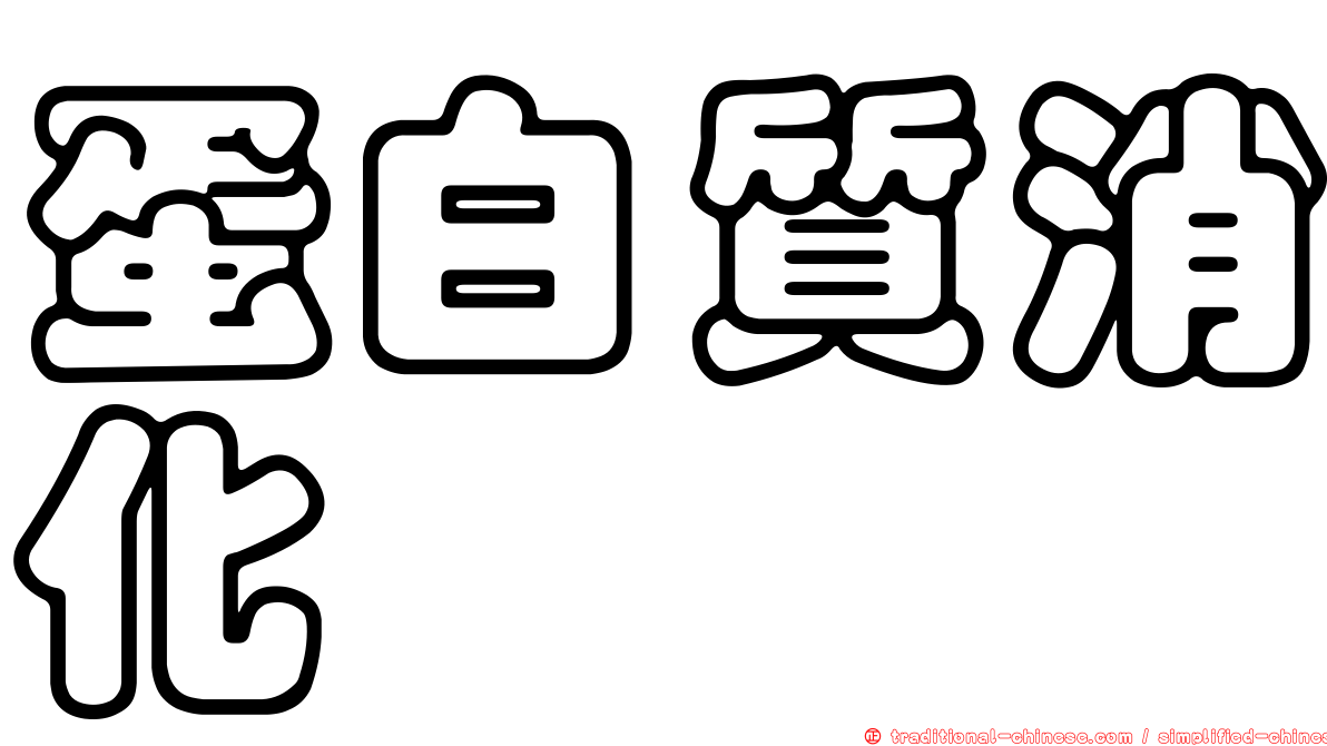 蛋白質消化