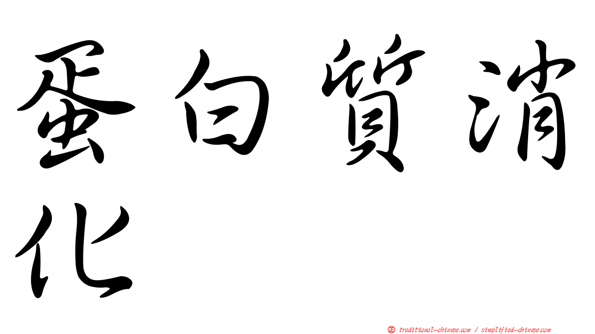 蛋白質消化