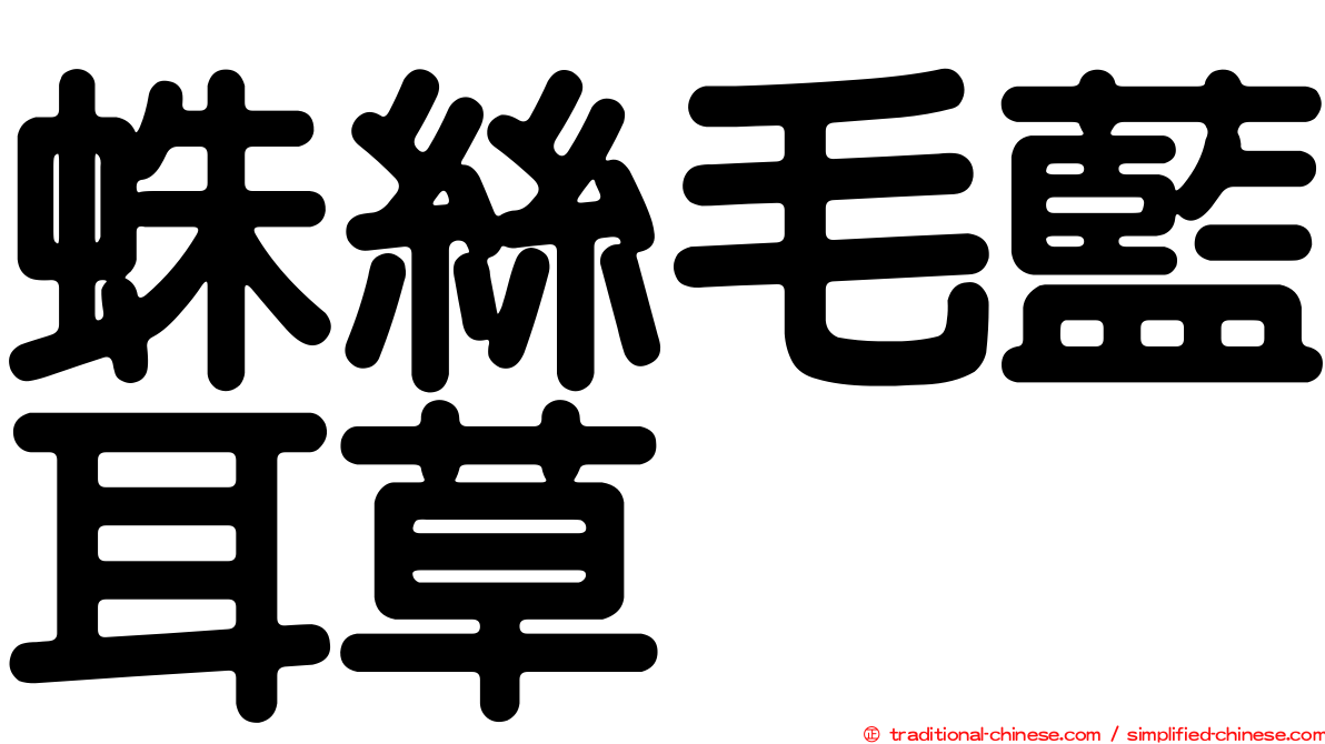 蛛絲毛藍耳草
