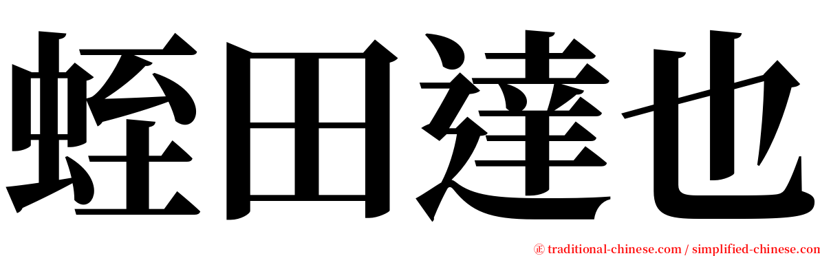 蛭田達也 serif font