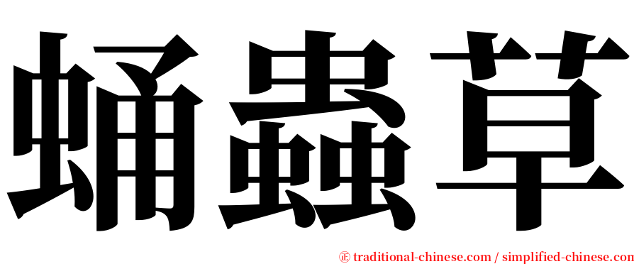 蛹蟲草 serif font