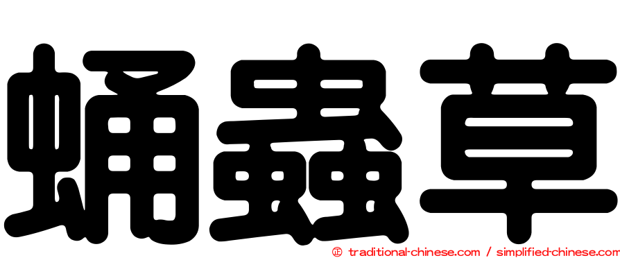 蛹蟲草