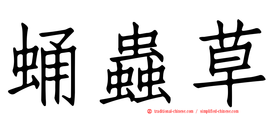 蛹蟲草